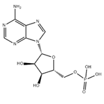61-19-8 Adenosine 5'-monophosphate
