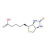 58-85-5 D-Biotin; Vitamin B7