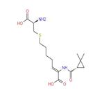 Cilastatin