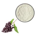 Oleanic acid; Ligustrum lucidum Ext