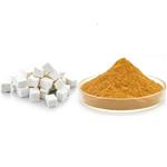 Indian Bread P.E. pictures