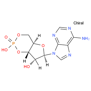 Adenosine 3',5'-cyclic monophosphate；Cyclic AMP； 3:5-CAMP；3',5'-CYCLIC AMP