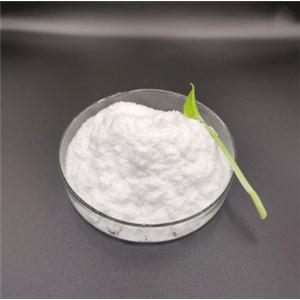 Ethyl Lauroyl Arginate Laurate