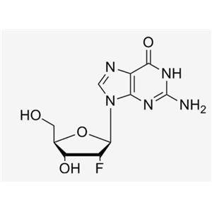 2'-F-2'-deoxyguanosine；2‘-F-dG