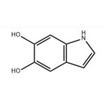 5,6-DIHYDROXYINDOLE