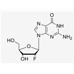 2'-F-2'-deoxyguanosine；2‘-F-dG