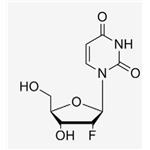 2'-F-2'-deoxyuridine；2‘-F-dU