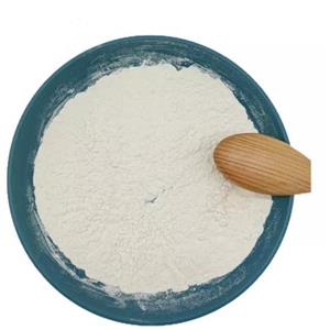 cinchocaine