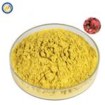 528-48-3 Fisetin