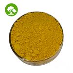 lemon balm extract pictures