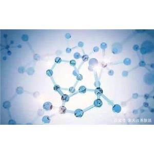 SODIUM POLYGLUTAMATE(PGA)