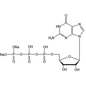 Guanosine-5’-triphosphate disodium salt(GTP-Na2)