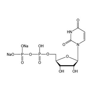 Uridine 5’-diphosphate disodium salt(UDP-Na2)