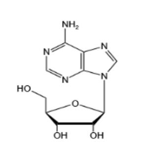 Adenosine 5’-triphosphate(ATP-H)