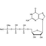 Guanosine-5’-triphosphate disodium salt（GTP-Na2） pictures