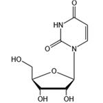 58-96-8 Uridine（UR）