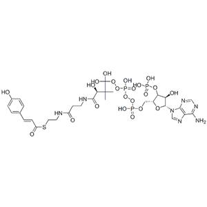 [(2R,3S,4R,5R)-5-(6-aminopurin-9-yl)-4-hydro