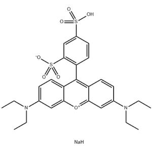 Sulforhodamine B