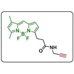 BDP FL alkyne