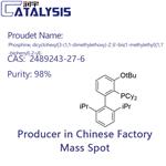 Phosphine, dicyclohexyl[3-(1,1-dimethylethoxy)-2',6'-bis(1-methylethyl)[1,1'-biphenyl]-2-yl]-