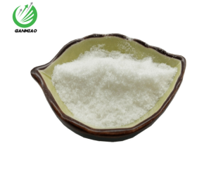 2-(1-METHYLHYDRAZINO)PYRAZINE