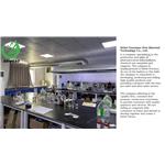 Methylamine hydrochloride 