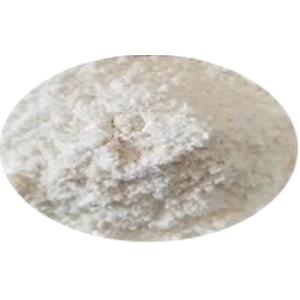 Reishi Spore Polysaccharide