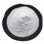 Glutamine Transaminase 