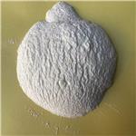 Photoinitiator NPI 400