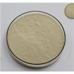 Xanthan gum