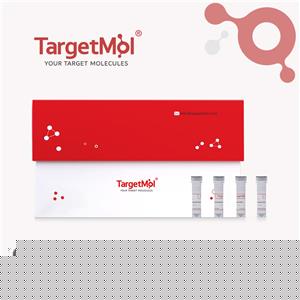 CAMKIV Protein, Mouse, Recombinant (His & GST)