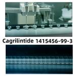 Cagrilintide 