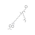 NC9 TG2 inhibitor