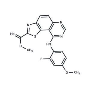 EHT 1610