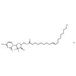 Gemcitabine elaidate hydrochloride pictures