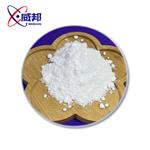 Sodium dichloroacetate