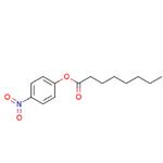 4-Nitrophenyl octanoate