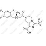 Reagliptin Impurity