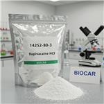 14252-80-3 Bupivacaine HCl