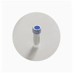 Selank Peptide