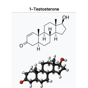DHB;Dihydroboldenone；1-Testosterone Cypionate