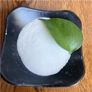 Ropivacaine mesylate