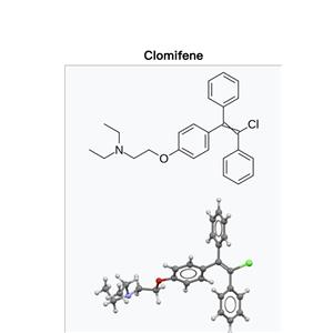 Clomifene citrate ；Clomid ；CLO；Clomiphene)