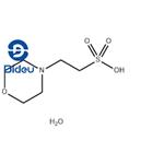 MES monohydrate