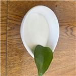 2',6'-Pipecoloxylidide