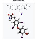 T3；Liothyronine Sodium
