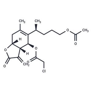 Antifungal agent 66