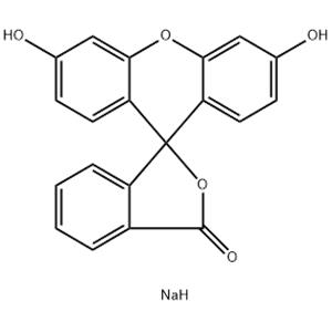 Fluorescein disodium salt