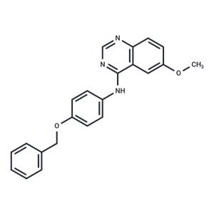 GI261520A