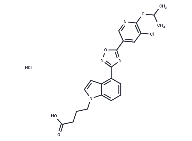 GSK2018682 HCl